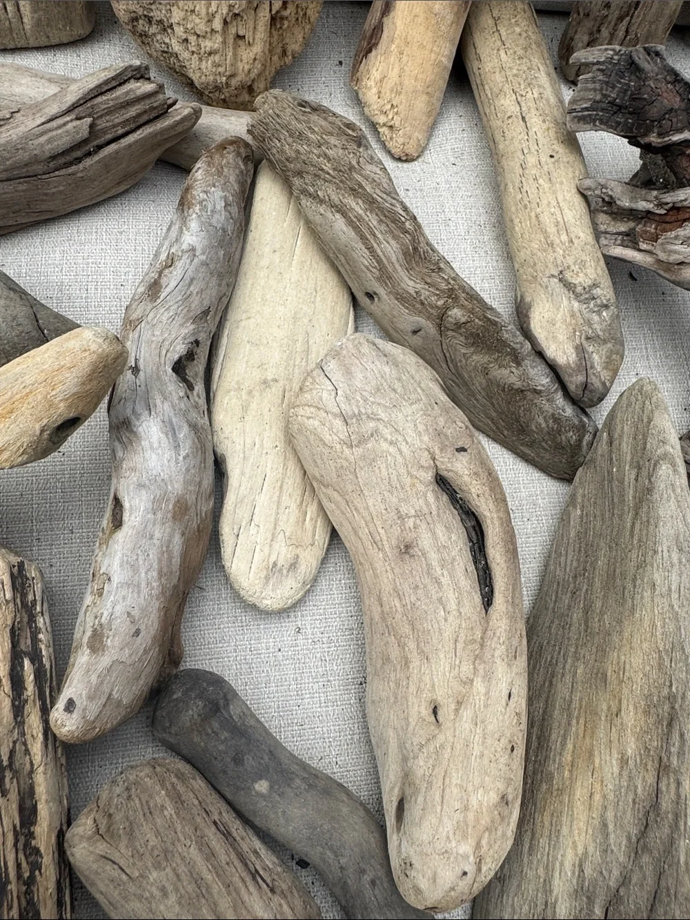 34 Pc (5lbs shipped) Box of beach Natural Driftwood Pieces for craft or decor